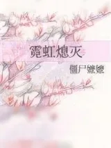 《霓虹熄灭》小说封面