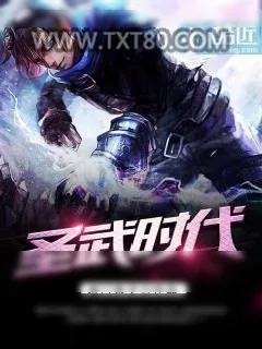 《圣武时代》小说封面