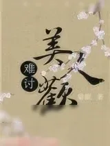 《难讨美人欢》小说封面