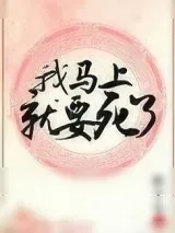 《嫁给反派以后》小说封面