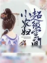 《超级空间小农妇》小说封面