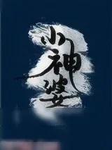《小神婆》小说封面