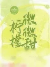 《柠檬微微甜》小说封面