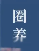 《温柔折磨》小说封面