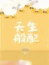 《天生般配》小说封面