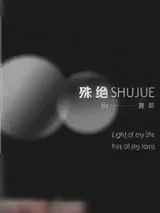 《殊绝》小说封面