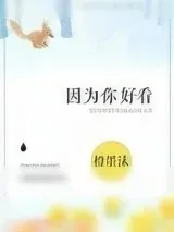 《因为你好看》小说封面