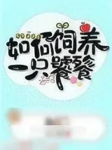《如何饲养一只饕餮》小说封面