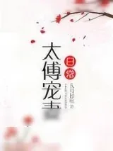 《太傅宠妻日常》小说封面