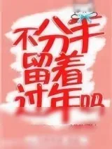 《不分手留着过年吗》小说封面