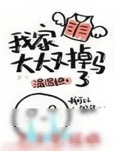 《我家大大又掉马了》小说封面