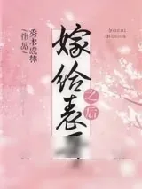 《嫁给表哥之后》小说封面