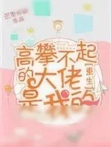 《高攀不起的大佬是我的[重生]》小说封面