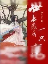 《世上最后一只魔》小说封面