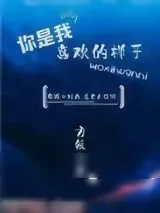 《你是我喜欢的样子》小说封面