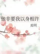 《他非要我以身相许》小说封面