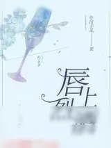 《唇上烈酒》小说封面