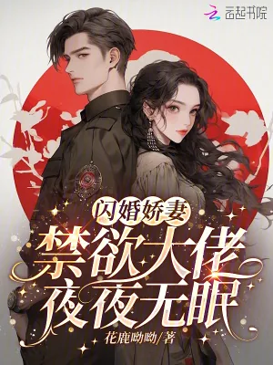 《闪婚娇妻：禁欲大佬夜夜无眠》小说封面