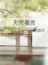 《夫凭妻贵》小说封面