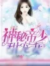 《神秘帝少甜宠妻》小说封面