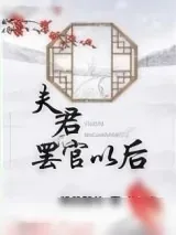 《夫君罢官以后》小说封面
