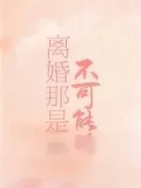 《离婚那是不可能的》小说封面