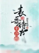 《表哥待我多冷峻》小说封面