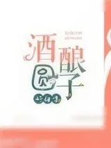 《酒酿圆子好甜呀》小说封面