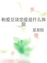 《和爱豆谈恋爱是什么体验》小说封面