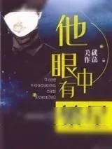 《他眼中有繁星》小说封面