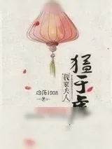 《我家夫人猛于虎》小说封面