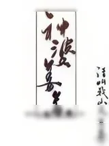 《神婆姜苏》小说封面