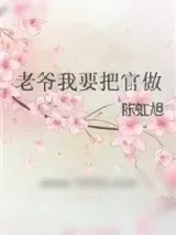 《老爷我要把官做》小说封面
