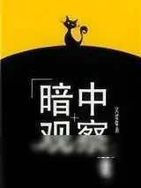《暗中观察[娱乐圈]》小说封面