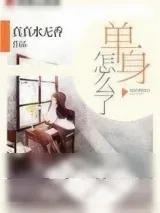 《单身怎么了》小说封面