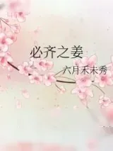 《必齐之姜》小说封面
