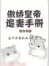 《傲娇皇帝追妻手册》小说封面