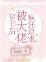 《穿书后被大佬疯狂追求》小说封面