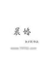 《晨婚》小说封面