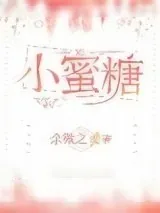 《小蜜糖》小说封面