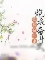 《炮灰奋斗史[清]》小说封面