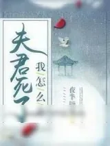 《夫君死了我怎么办》小说封面