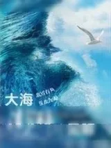 《大海澎湃时见鲸》小说封面