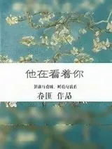 《他在看着你》小说封面