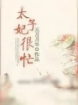 《太子妃很忙》小说封面