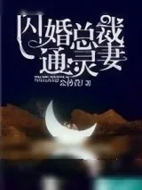 《闪婚总裁通灵妻》小说封面