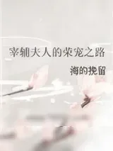 《宰辅夫人的荣宠之路》小说封面