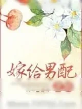 《嫁给男配之后》小说封面