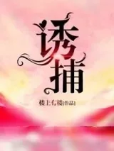 《诱捕》小说封面