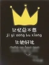 《记忆总不想让她好过》小说封面